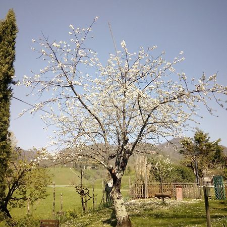B&B Le Due Volpi Vicchio Extérieur photo