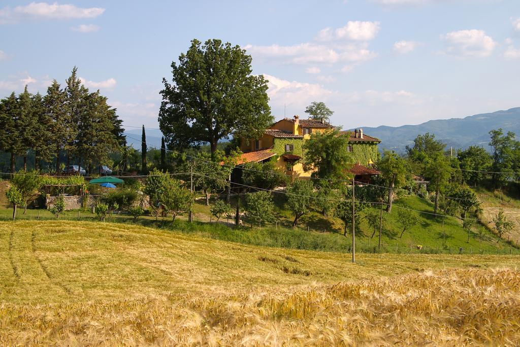 B&B Le Due Volpi Vicchio Extérieur photo