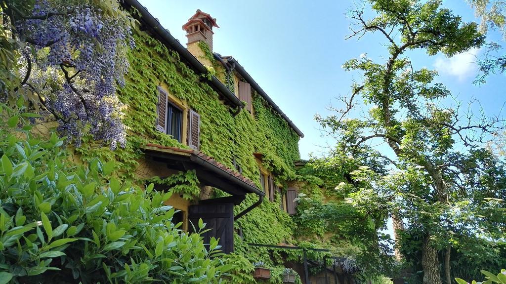 B&B Le Due Volpi Vicchio Extérieur photo
